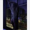 Hallo Ich bin Simona Angebote escort-independent Hallo Ich bin Simona Angebote escort-independent